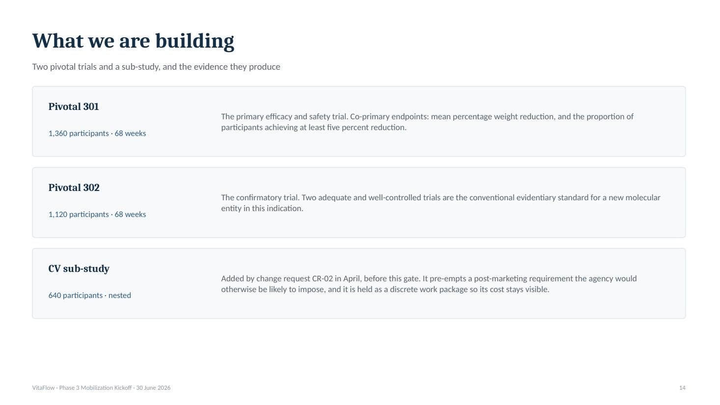 VitaFlow Phase 3 mobilization kickoff deck &mdash; slide 15 of 20