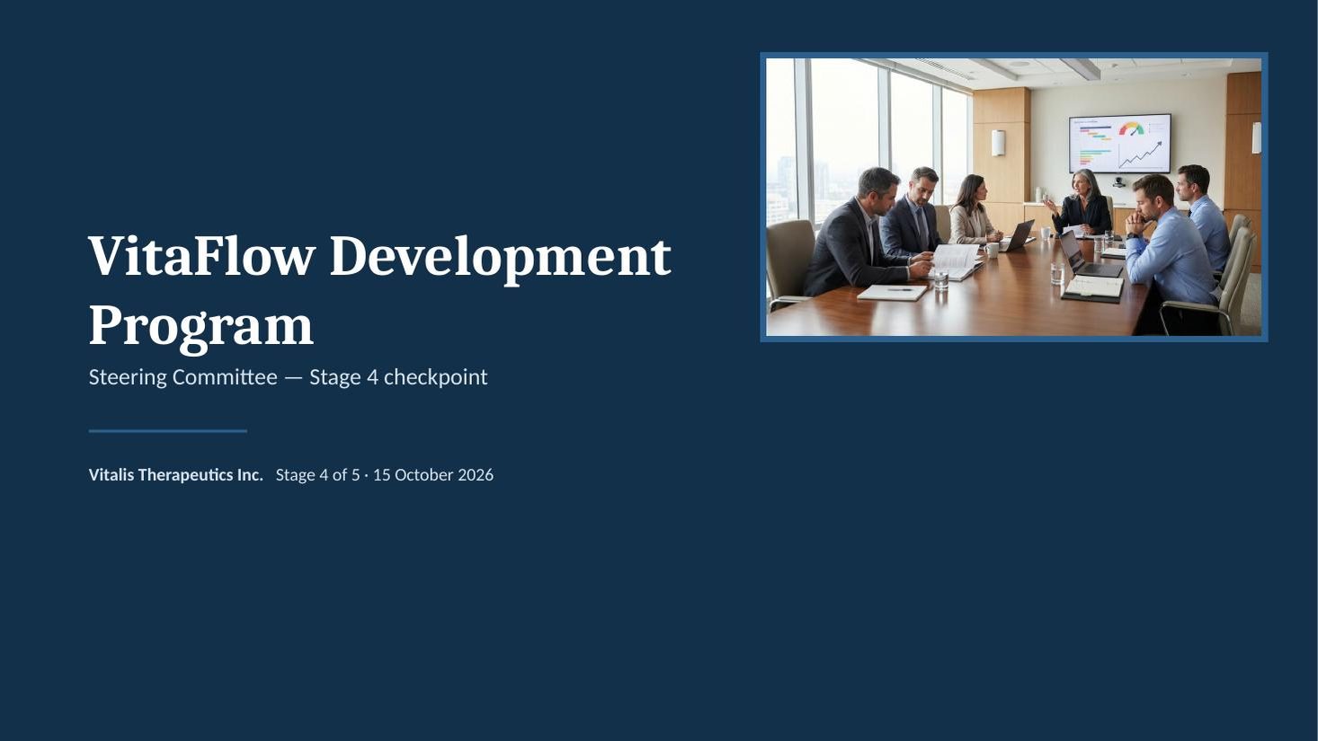VitaFlow steering committee deck &mdash; slide 1 of 11