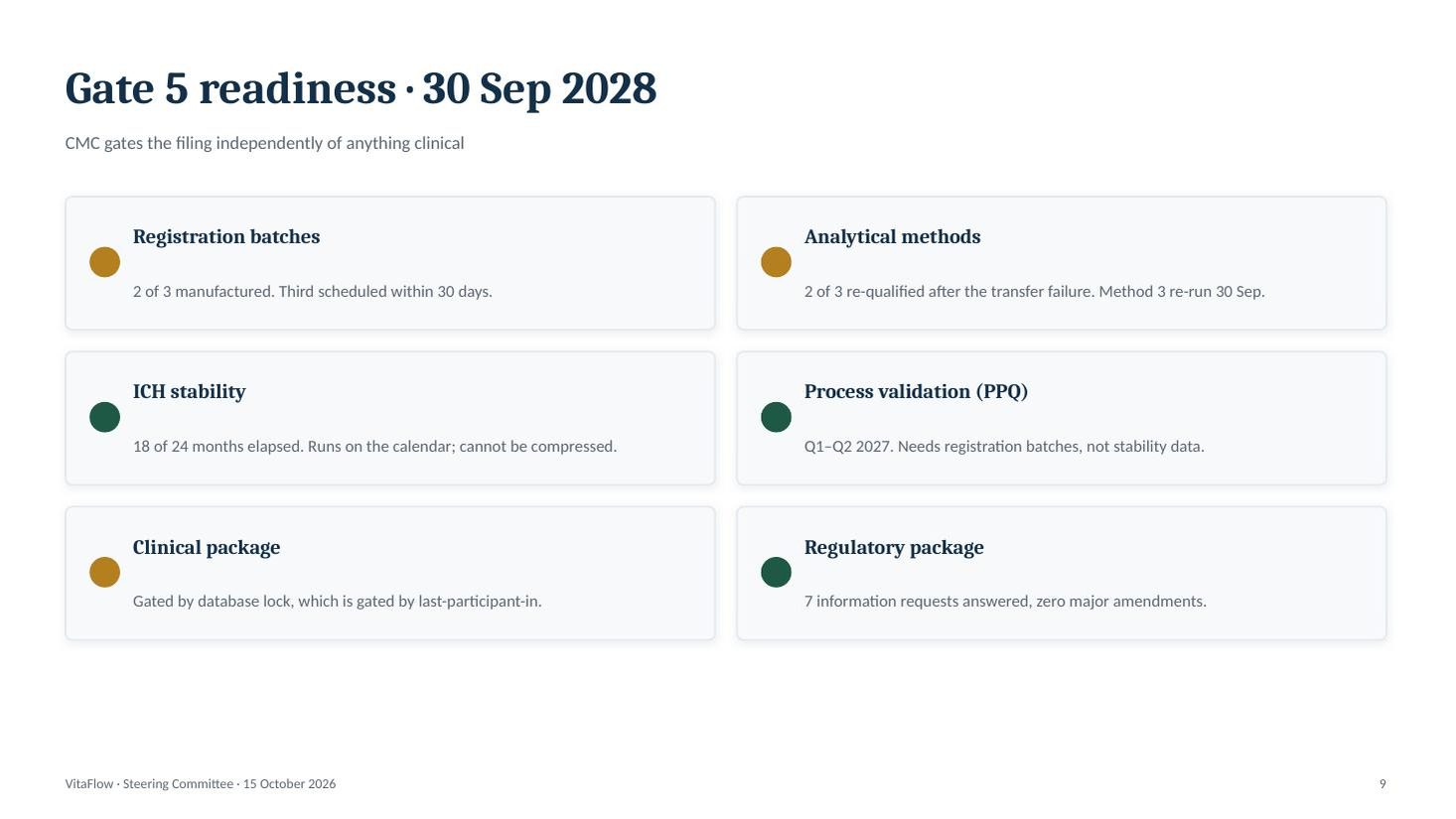 VitaFlow steering committee deck &mdash; slide 9 of 11