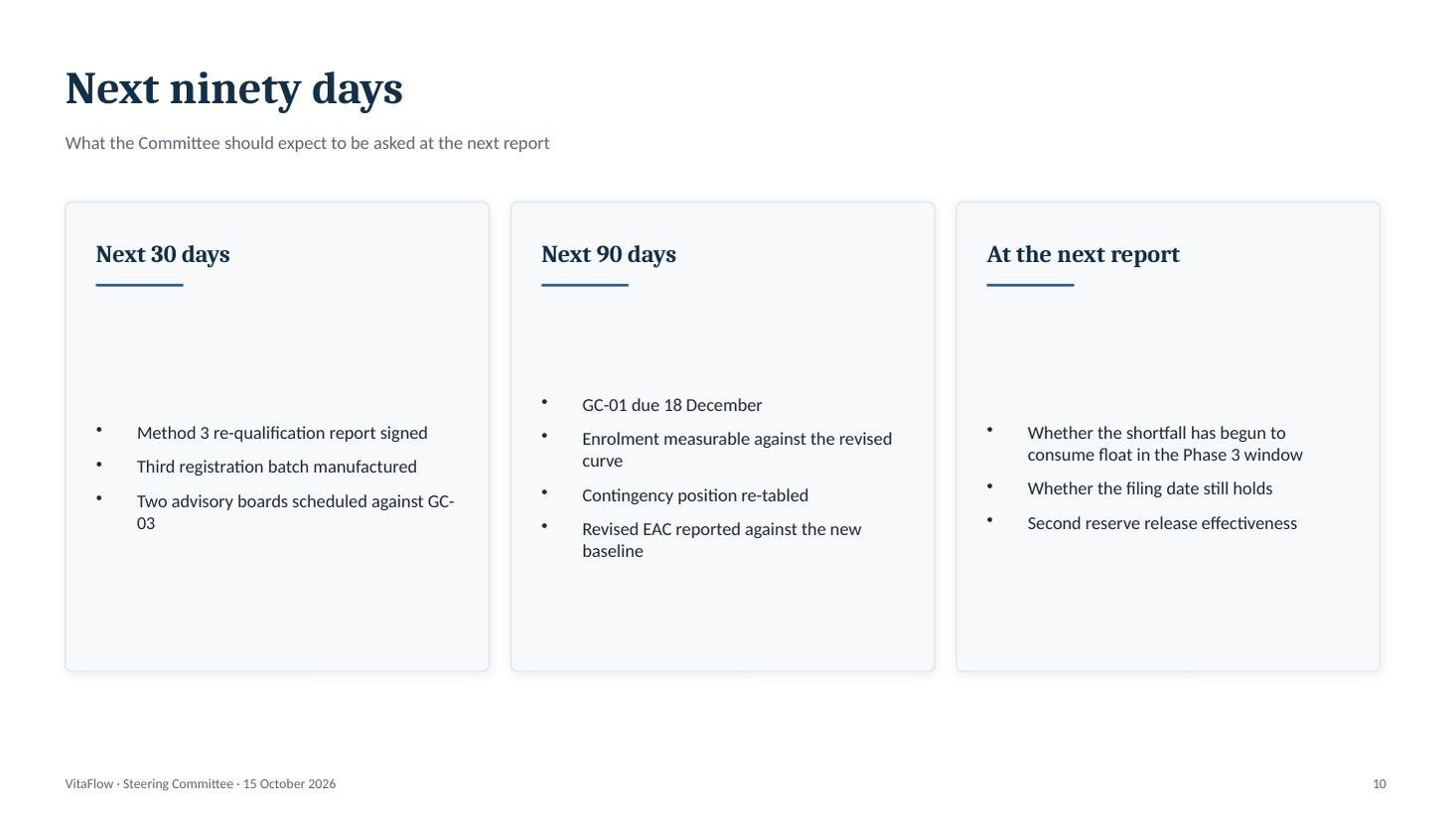 VitaFlow steering committee deck &mdash; slide 10 of 11